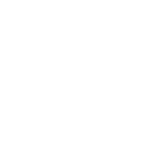download icon
